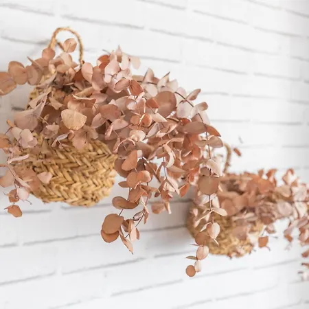 Don Miguel 2 * Benidorm