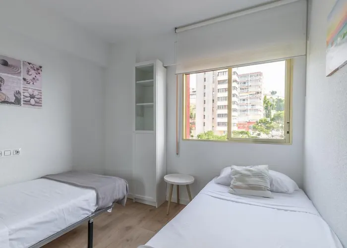 Apartament Don Miguel 2